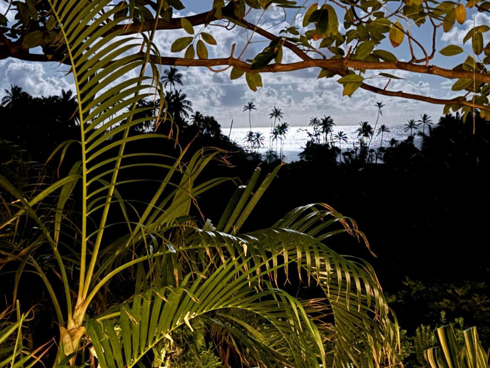 فندق Firefly Estate Bequia Crescent Beach المظهر الخارجي الصورة
