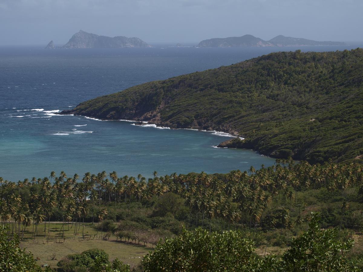 فندق Firefly Estate Bequia Crescent Beach المظهر الخارجي الصورة