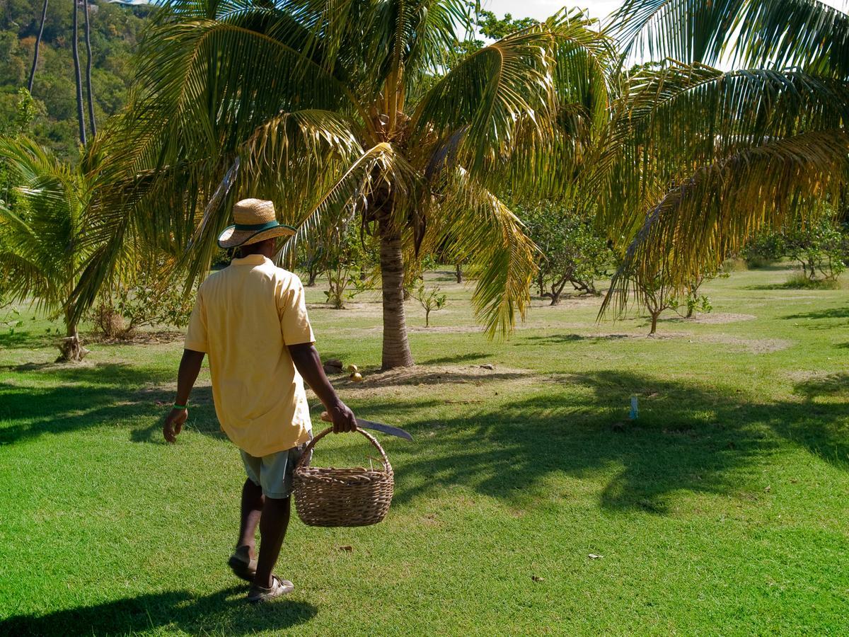 فندق Firefly Estate Bequia Crescent Beach المظهر الخارجي الصورة