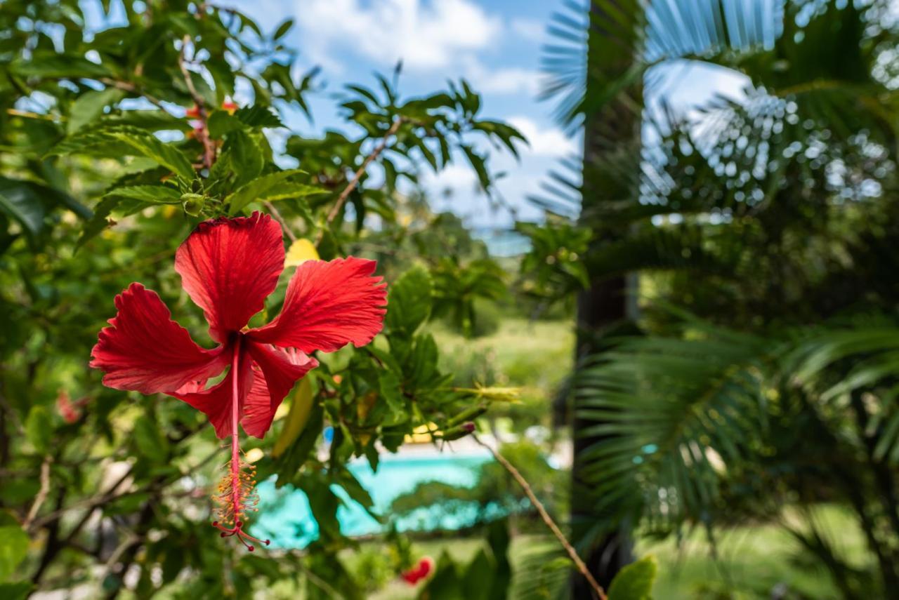 فندق Firefly Estate Bequia Crescent Beach المظهر الخارجي الصورة