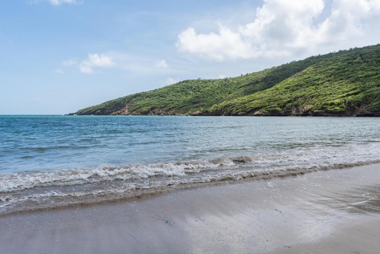 فندق Firefly Estate Bequia Crescent Beach المظهر الخارجي الصورة