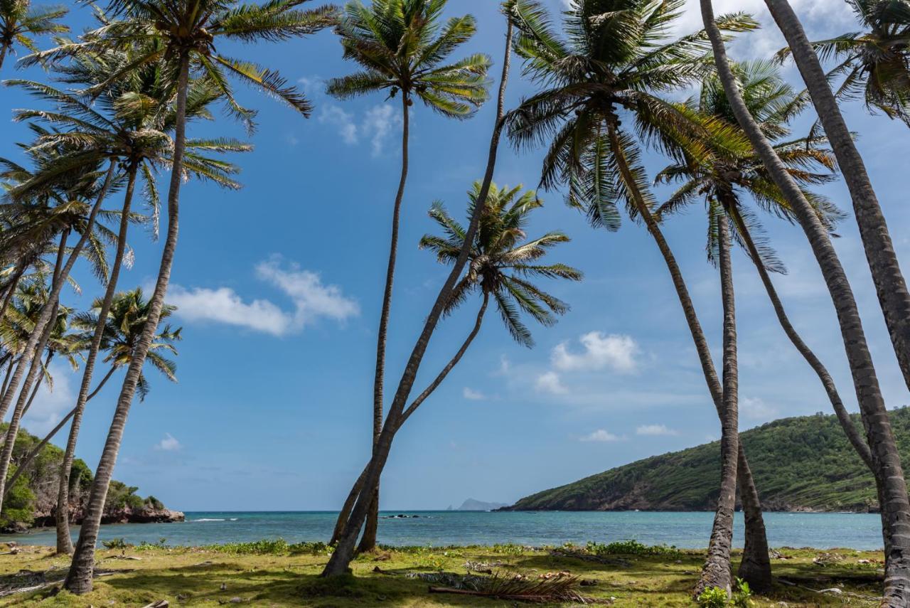 فندق Firefly Estate Bequia Crescent Beach المظهر الخارجي الصورة